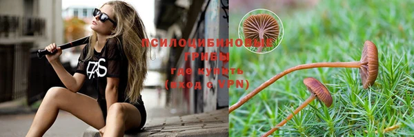 spice Сосновый Бор